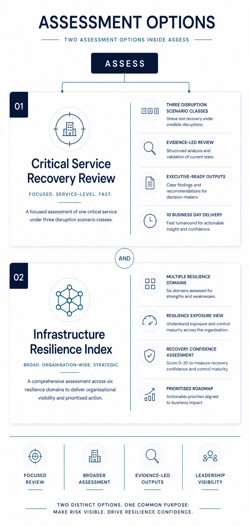 Assessment options framework showing Critical Service Recovery Review and Infrastructure Resilience Index inside Assess